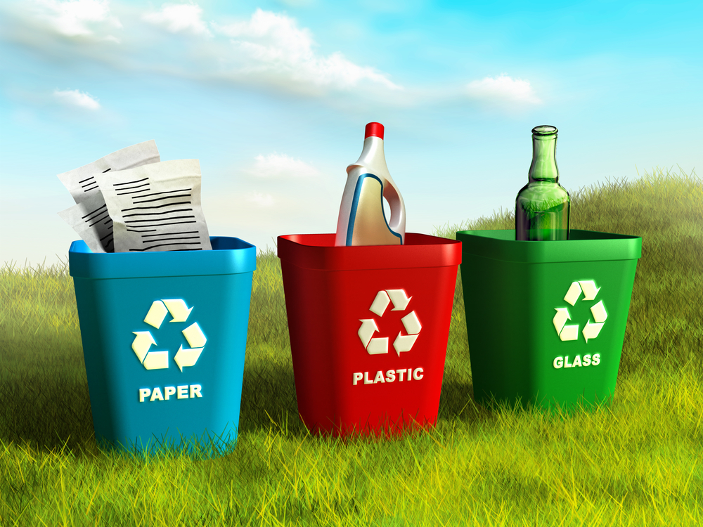 Think Globally, Act Irrationally: Recycling