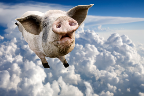 Pigs Don't Fly: The Economic Way of Thinking about Politics