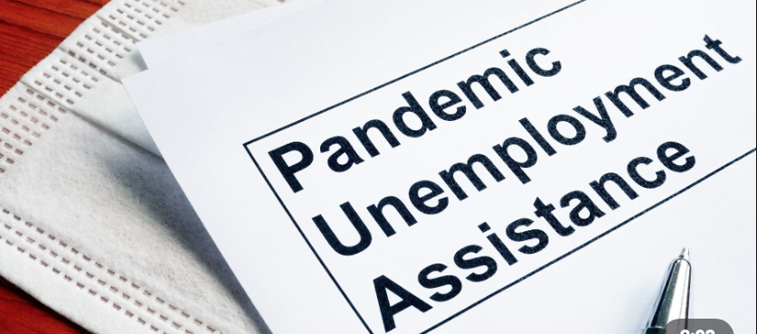 Unemployment insurance reduces employment