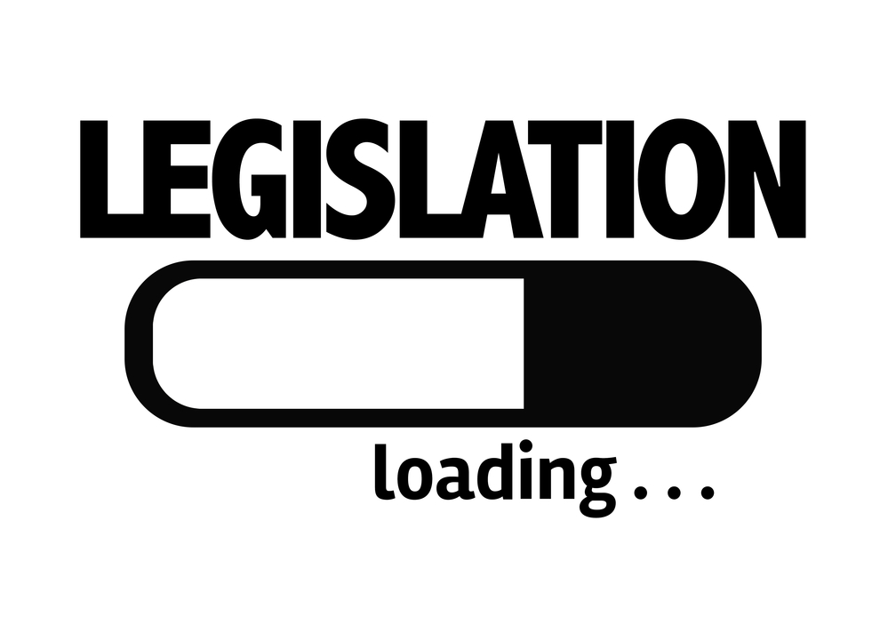 Leoni, legislation and representation